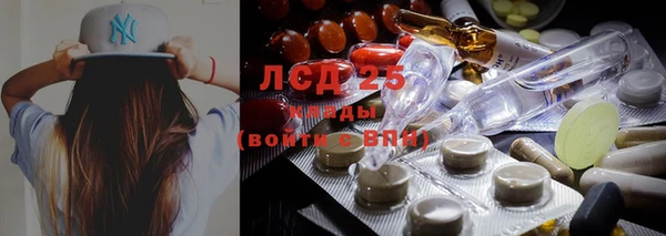 ПСИЛОЦИБИНОВЫЕ ГРИБЫ Новокубанск