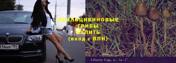 гашиш Новодвинск